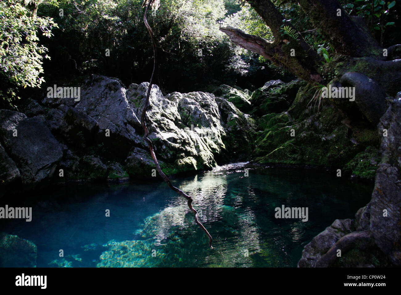 Pupu Pool Pupu federn -Fotos und -Bildmaterial in hoher Auflösung – Alamy