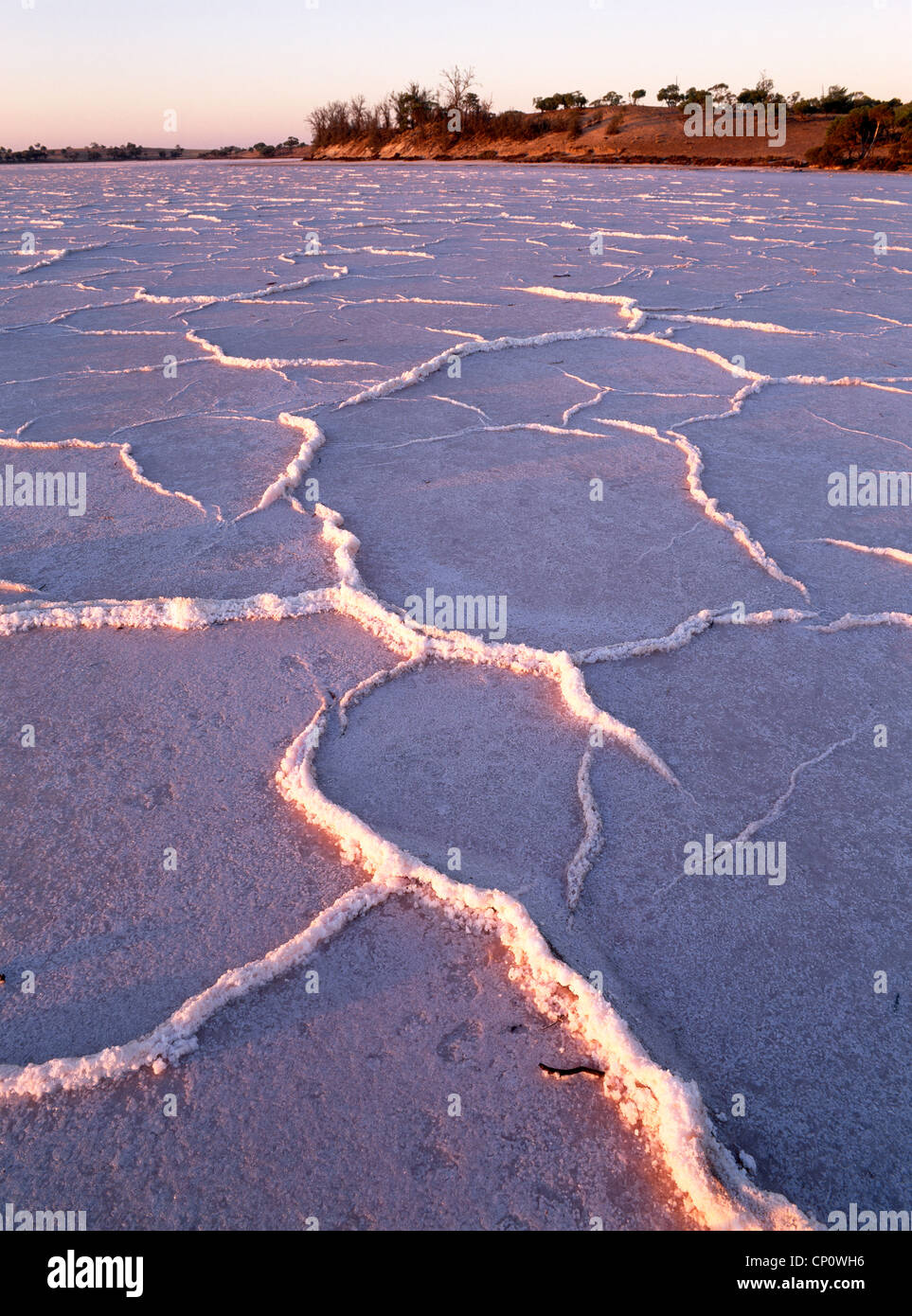 Vom Wind verwehten Salz Muster im trockenen Bett des Sees Crosbie an den "Pink-Seen" "Murray-Sunset National Park" Victoria Australien Stockfoto