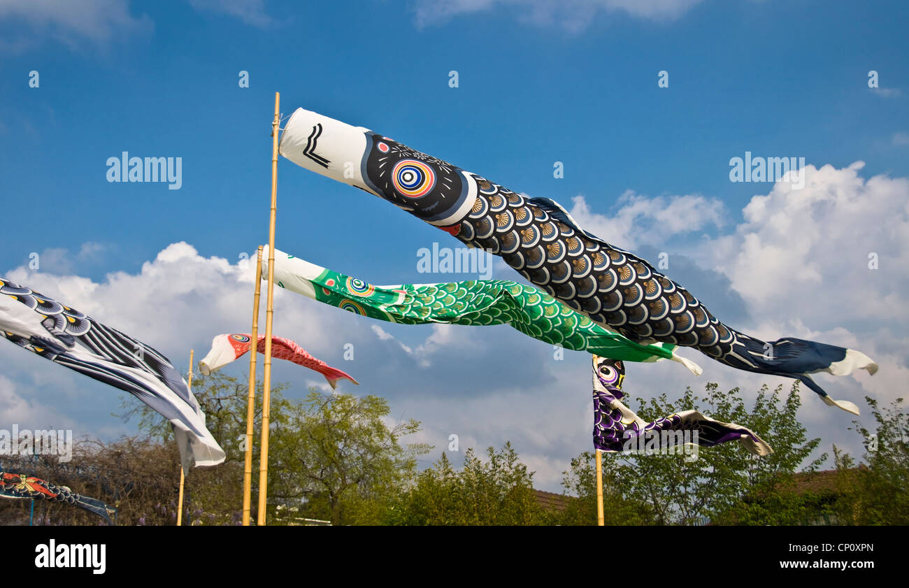 Karpfen-Streamer (Koinobori) zur Feier des japanischen Urlaub Kinder Tages im Jardin d ' Acclimatation - Paris (Frankreich) Stockfoto