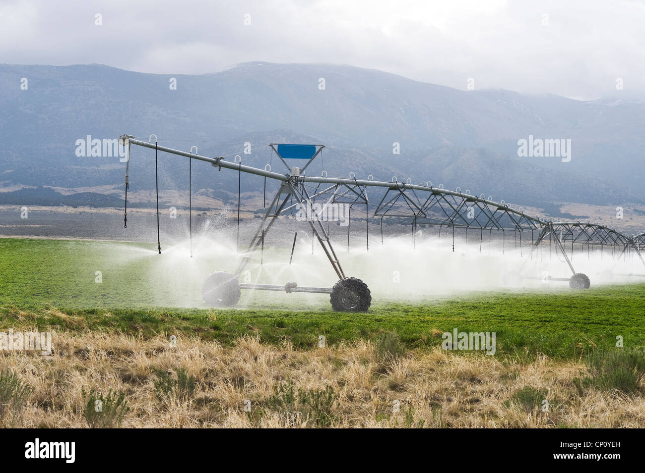 Bewässerung von Ackerland außerhalb von Salt Lake City, Utah, USA. Stockfoto