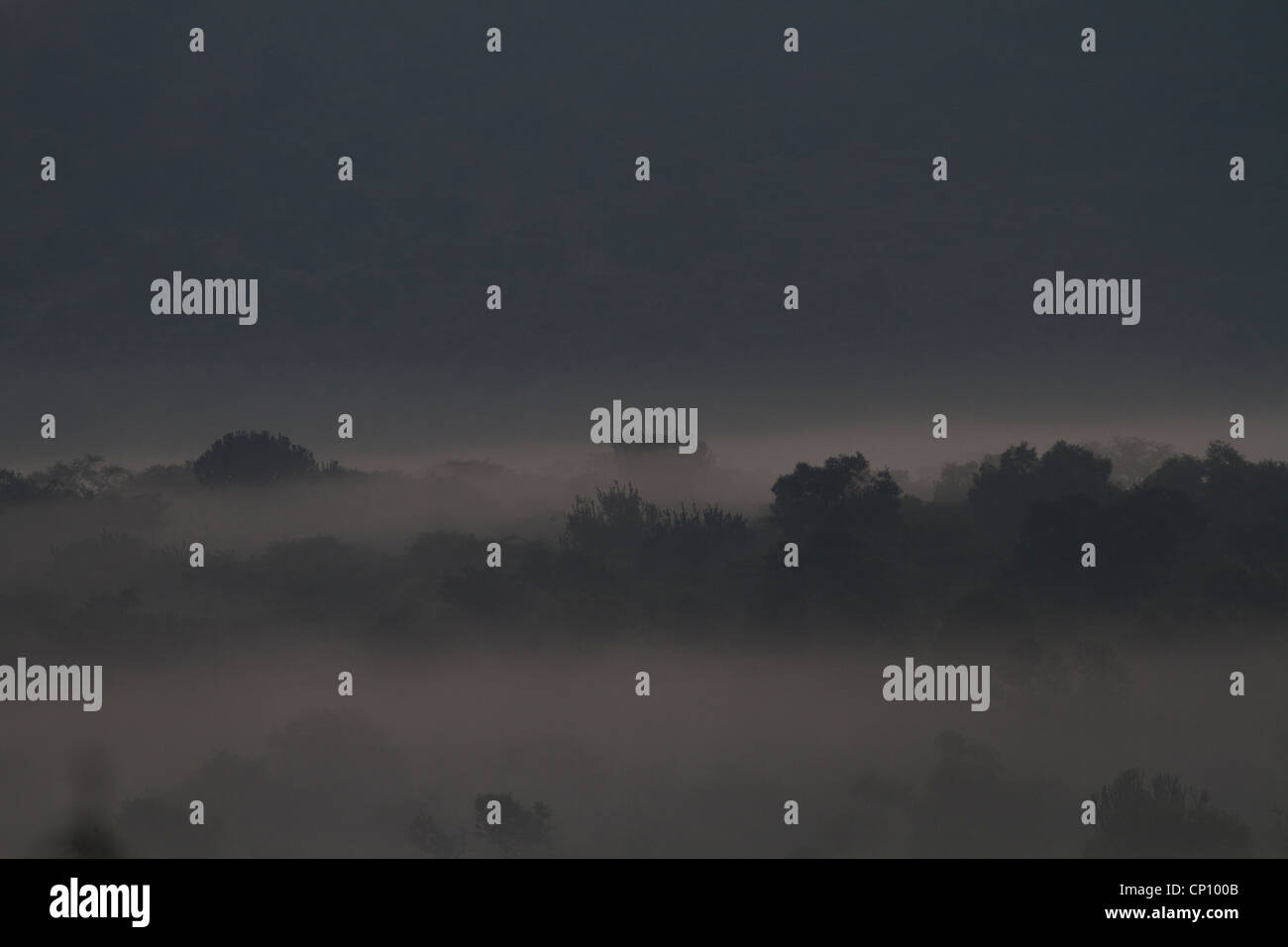 Frühen Morgennebel über Lake Mburo National Park, Uganda Stockfoto