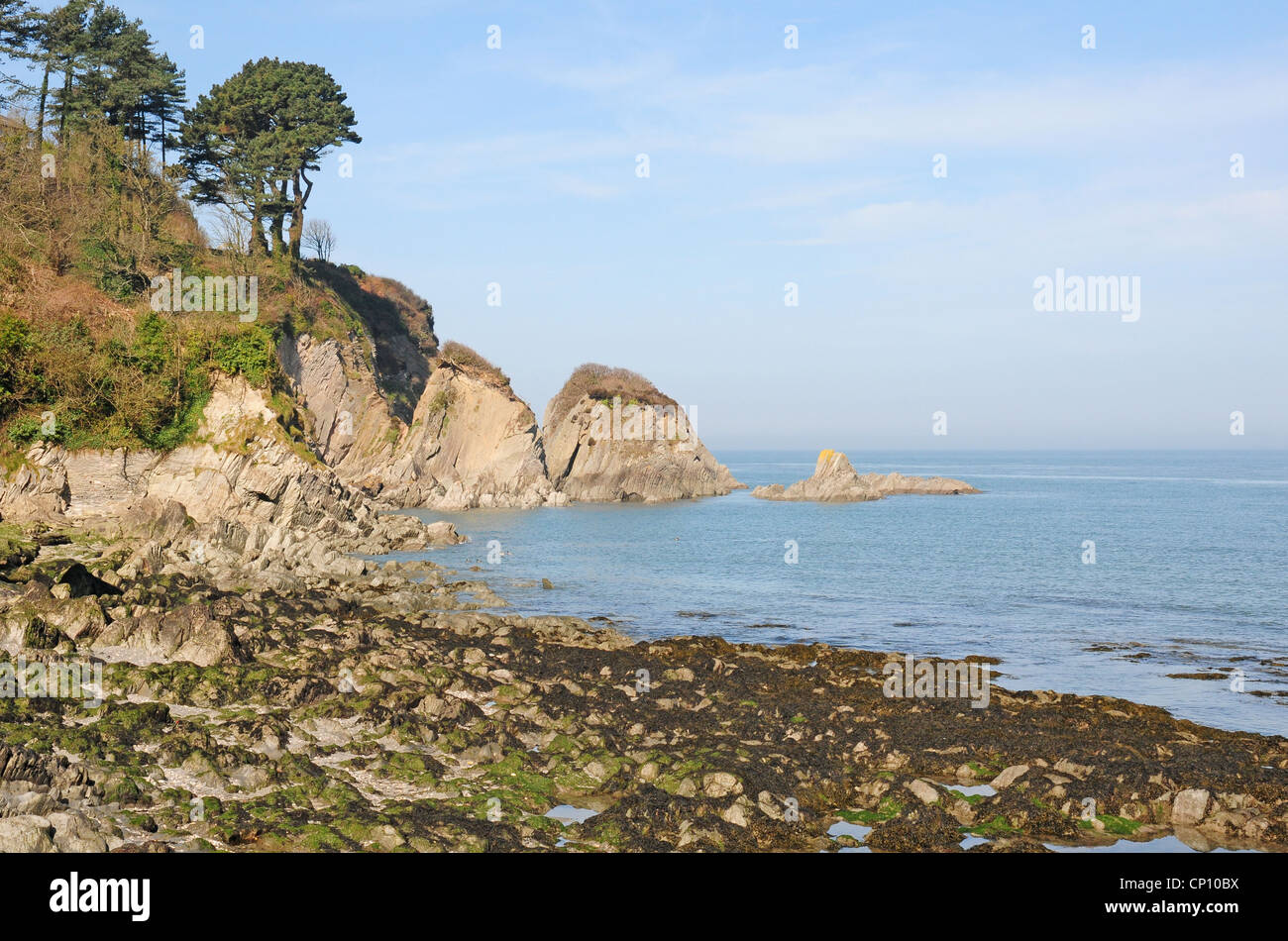 Lee-Bucht. Nord-Devon. Zurückweichenden Flut. Stockfoto