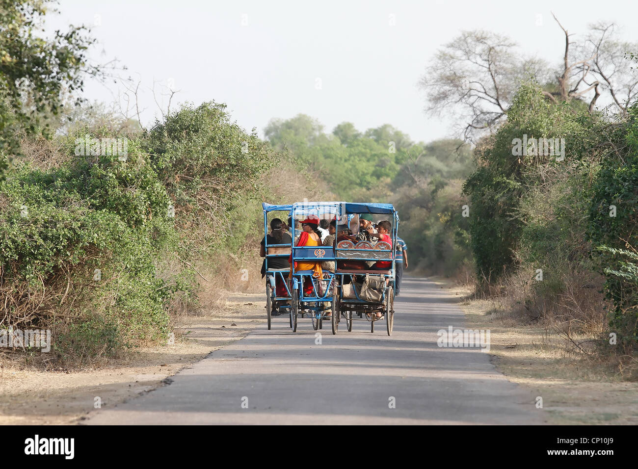 Besucher reiten Cycle rickshaw in Bharatpur Vogelschutzgebiet Stockfoto