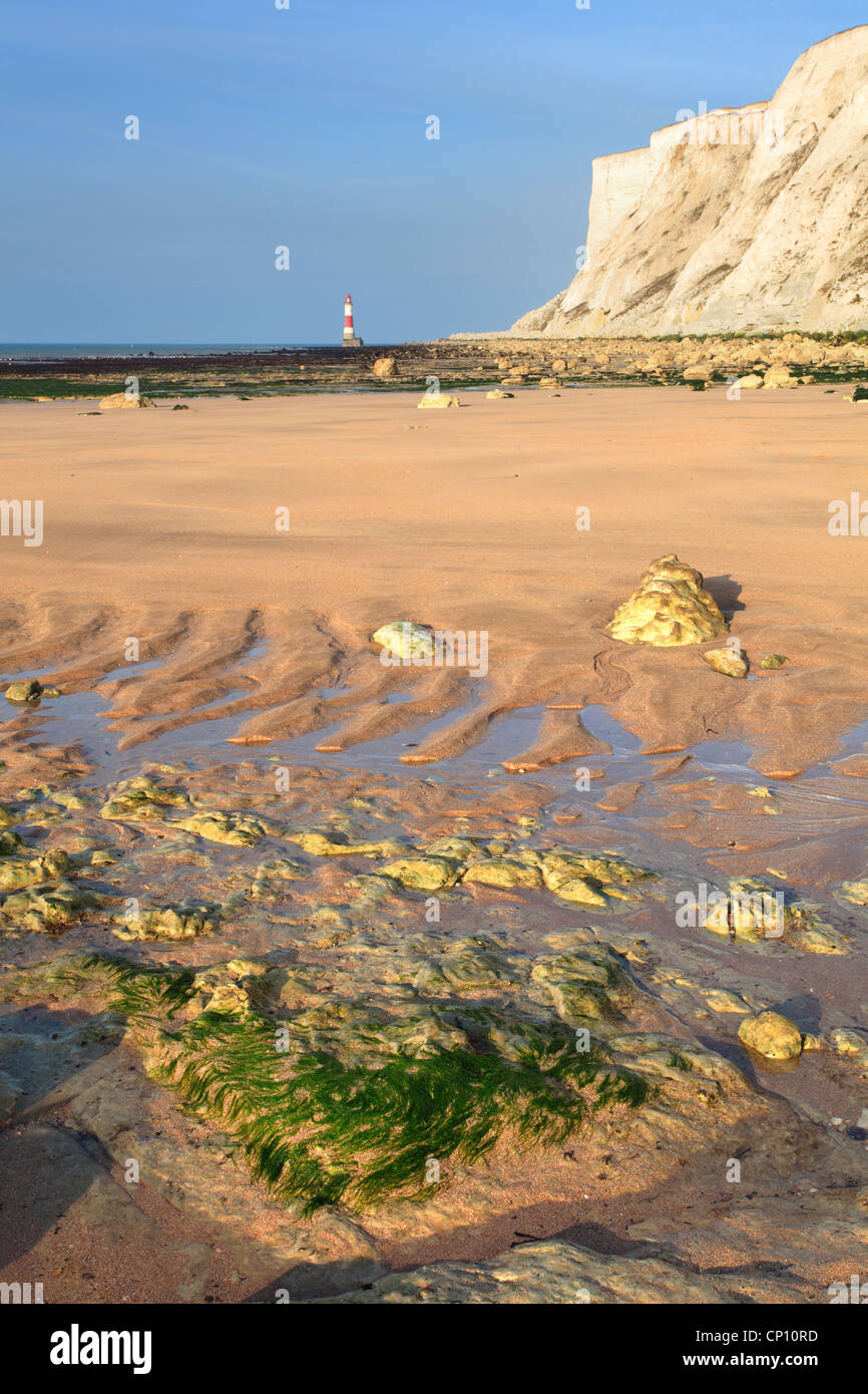 Beachy Head und Leuchtturm von Falling Sand Strand gefangen genommen Stockfoto