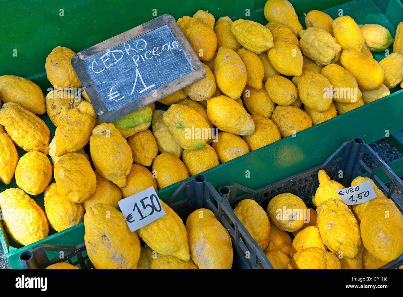 Die Zitrone oder Cedrat (Citrus Medica) ist eine Art der Gattung Citrus in der Rue-Familie. Stockfoto