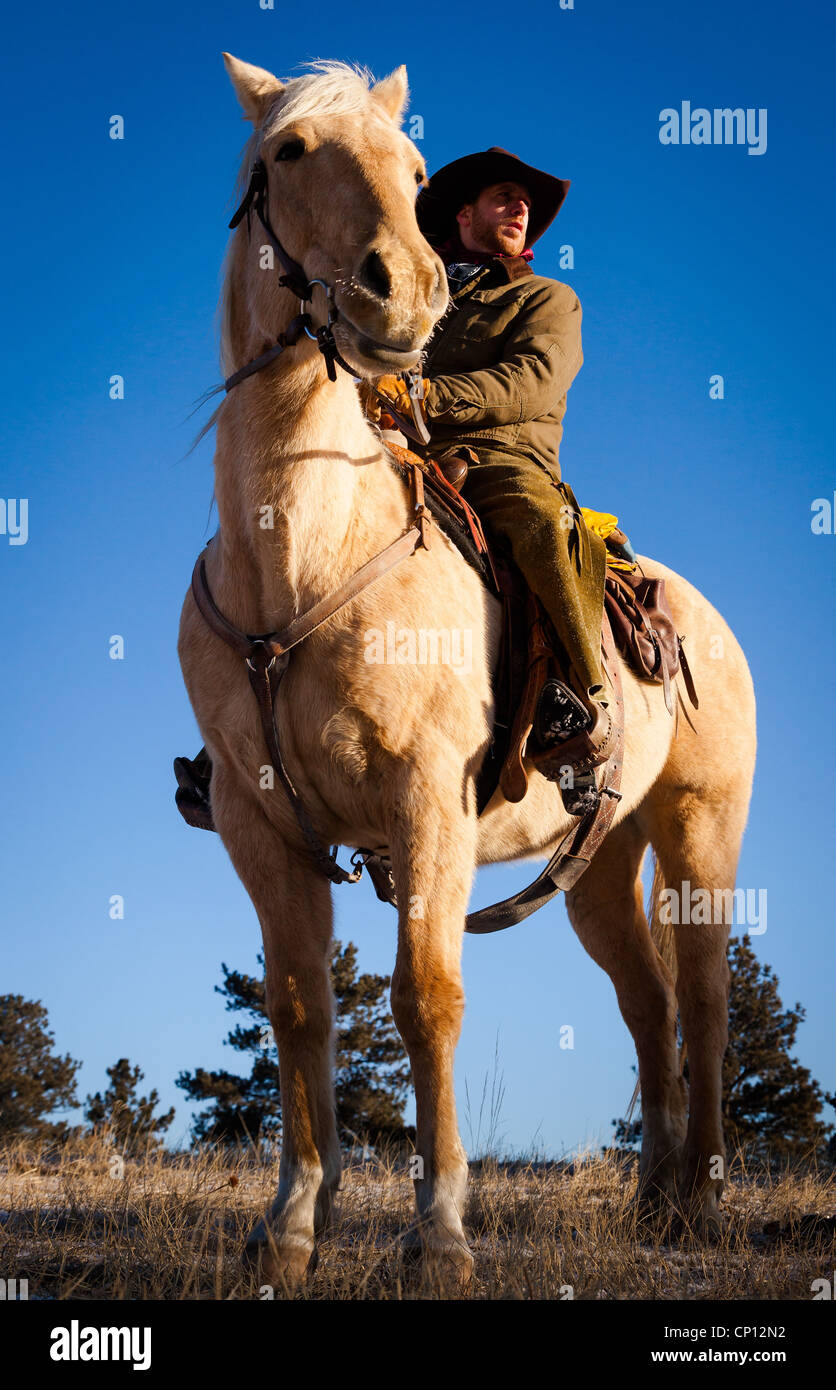 Cowboy zu Pferd im nordöstlichen Wyoming Stockfoto