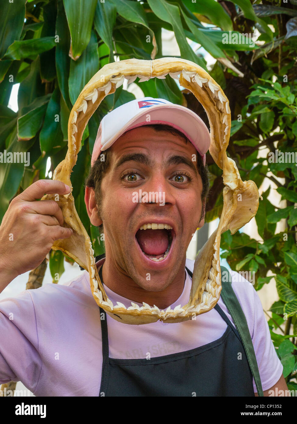 Ein 20-30 Jahre alten kubanischen Mann hält ein Hai Kiefer mit Zähnen, vor seinem Gesicht, wie er ein lustiges Gesicht in Havanna, Kuba macht. Stockfoto