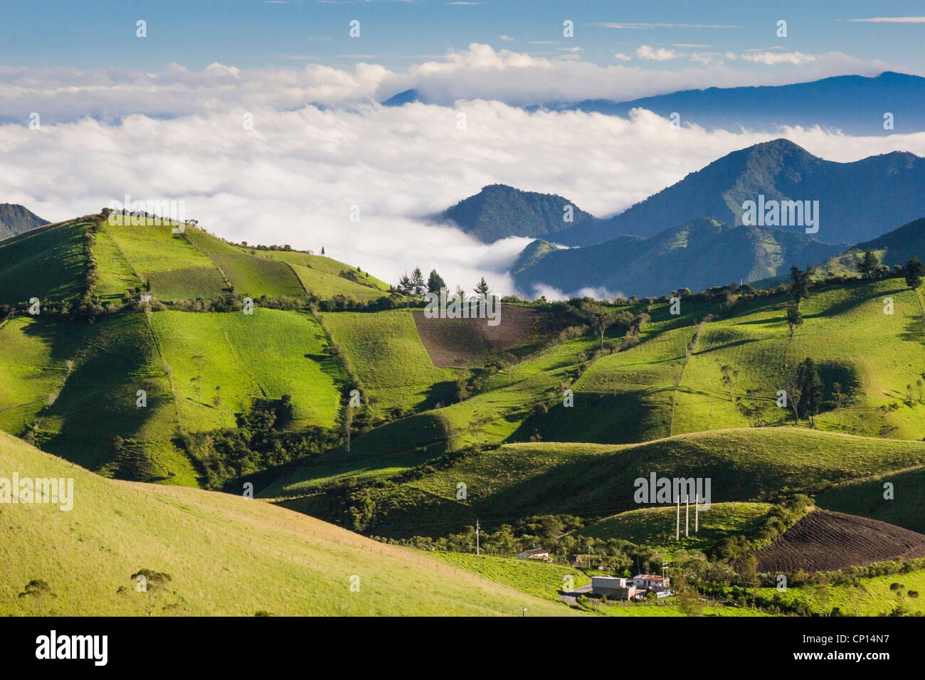 Blick von Nono-Mindo Straße durch Berglandschaften und Bauernhöfe in westlichen Anden in Ecuador in Höhenlagen über 11.000 Fuß. Stockfoto