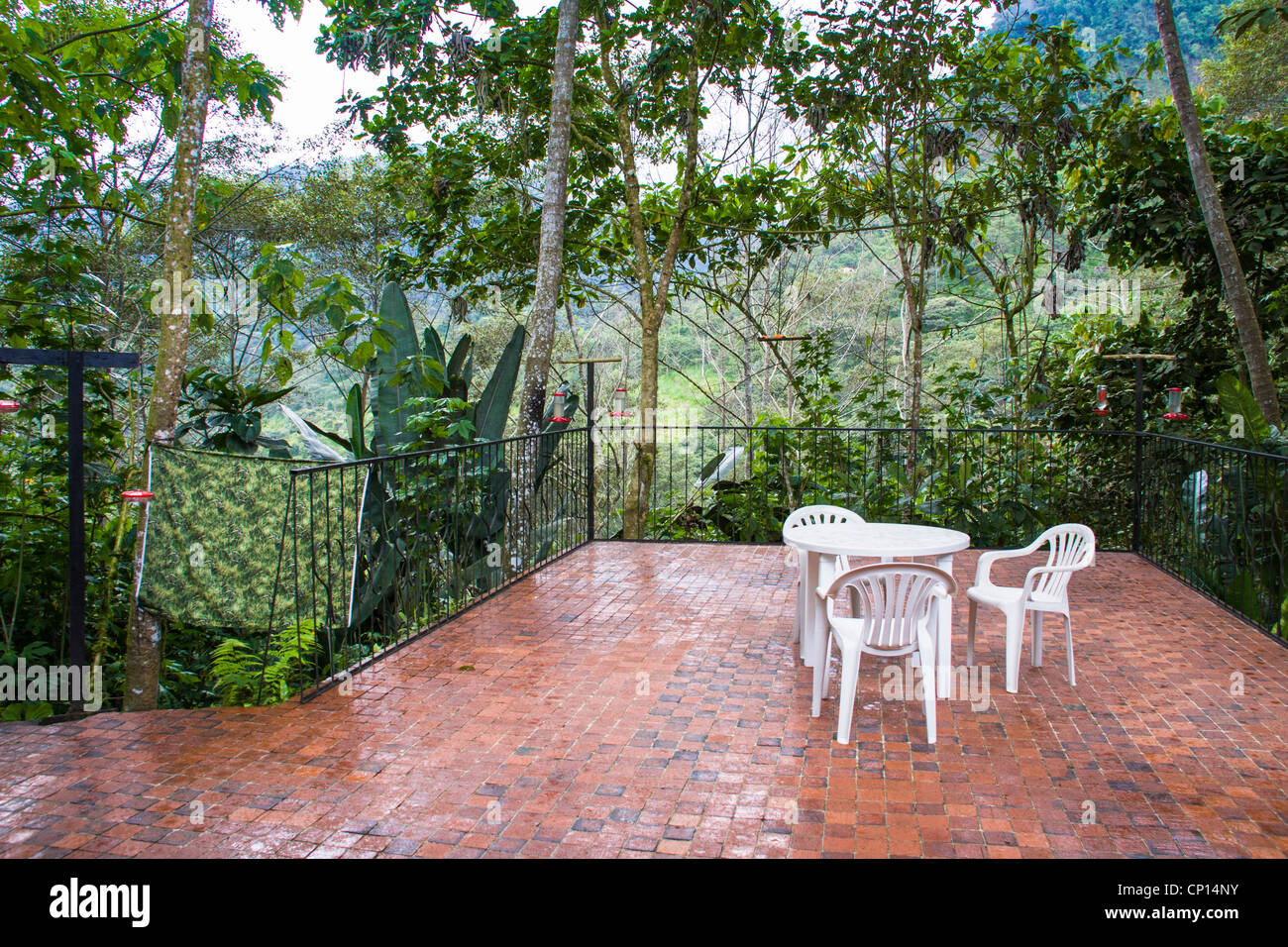 Tandayapa Lodge, einer ökologischen Lodge berühmt für Vögel und Kolibris in Ecuador. Stockfoto