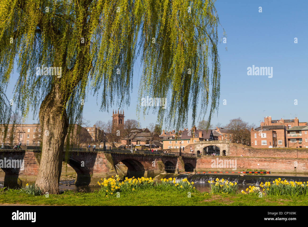 Weidenbaum gewölbte Brücke, Chester Stockfoto