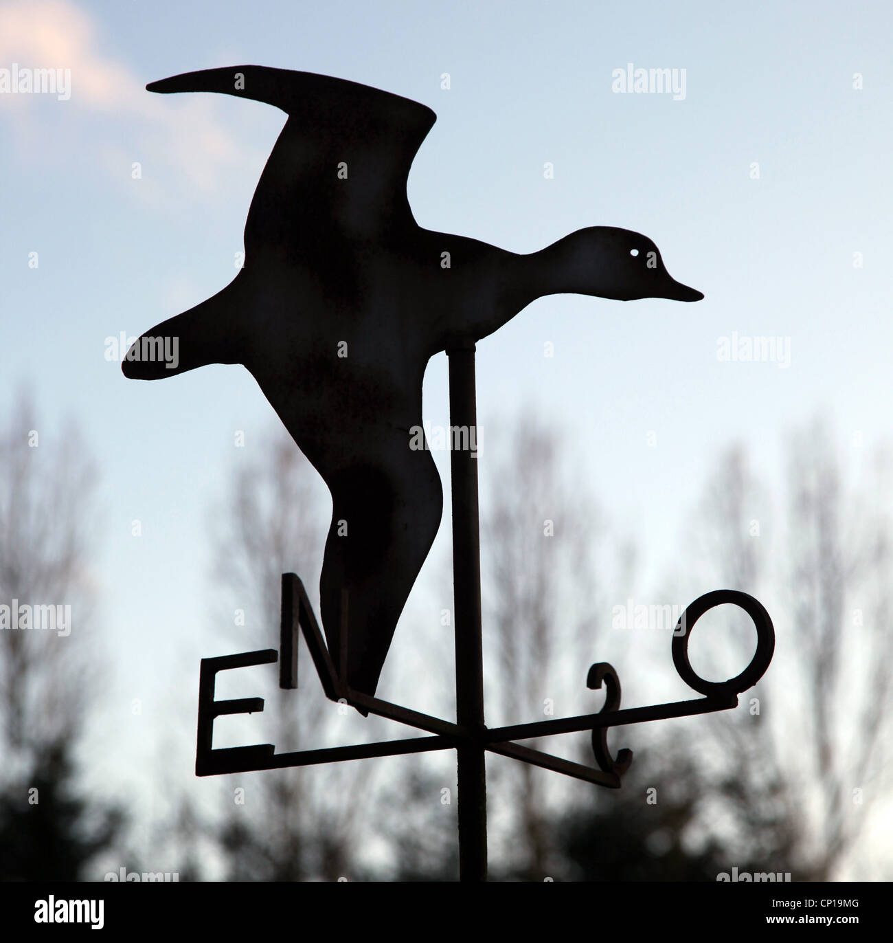 Es ist ein Foto einer Form einer Ente die Richtung des Windes an. Süd-Nord-Ost-West. Es ist aus Stahl oder Eisen in schwarz Stockfoto