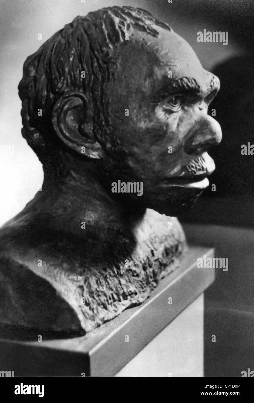 vorgeschichte, prähistorischer Mensch, Homo sapiens neanderthalensis, Neanderthal, um 150000 - 40000 v. Chr., Mann aus La Chapelle aux Saints (1908), Rekonstruktion von Prof. Struck, Prof. Behm & J. Hertel, Additional-Rights-Clearences-not available Stockfoto