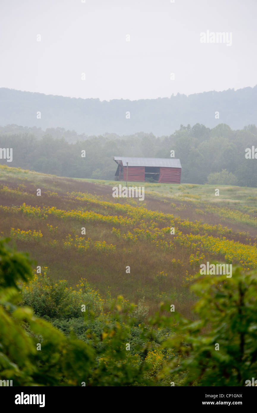 Blick auf Scheune auf einem Bauernhof an einem Berghang in Charlottsville VA Stockfoto