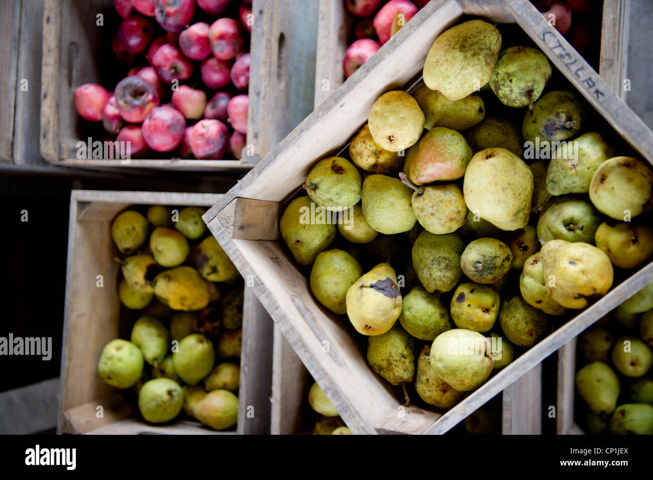 Kiste aus Birnen und Äpfeln Stockfoto