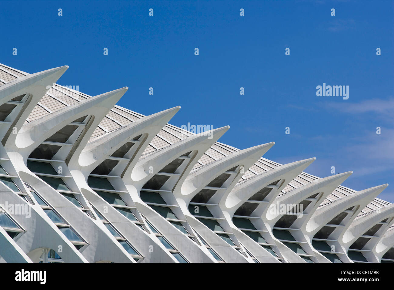 Museo de Las Ciencias Príncipe Felipe, die Stadt der Künste und Wissenschaften, Valencia. Stockfoto Museo de Las Ciencias Príncipe Felipe, die Stadt der Künste und Wissenschaften, Valencia. Stockfoto