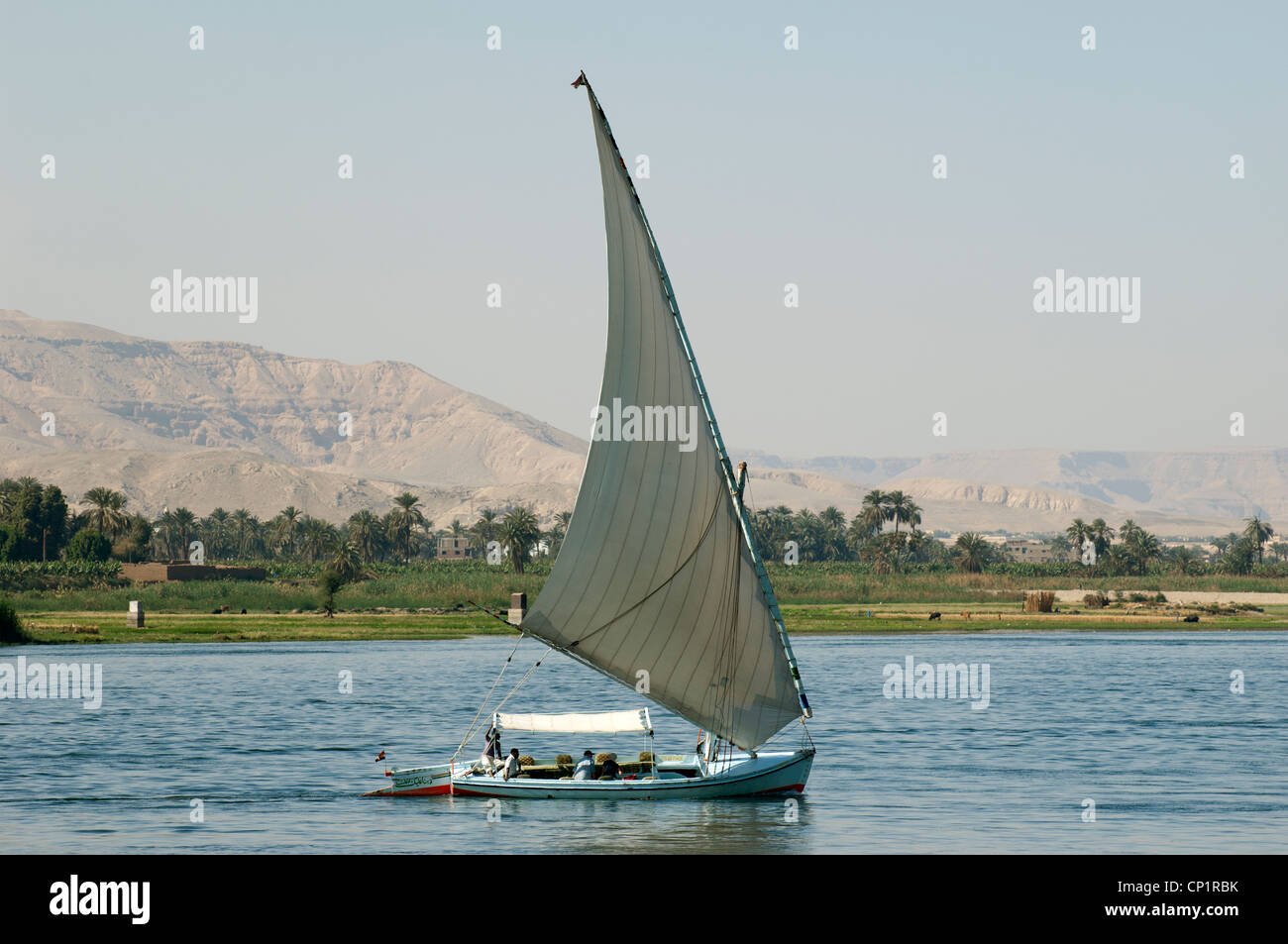 Feluken auf dem Nil in Luxor Ägypten Segeln. Stockfoto