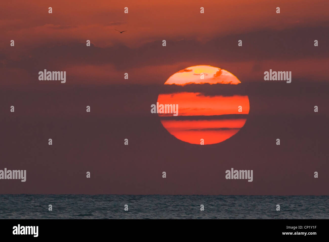 Sonnenuntergang in einen großen roten Ball über dem Golf von Mexiko vor der Küste Floridas Stockfoto