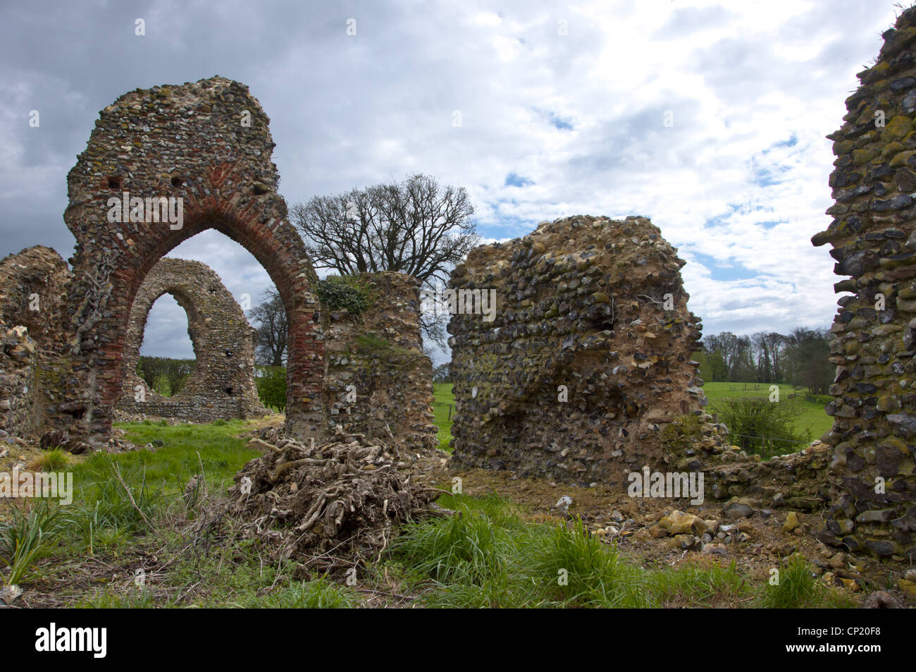 Ruinen der St. Saviours Kirche Surlingham Norfolk England Stockfoto