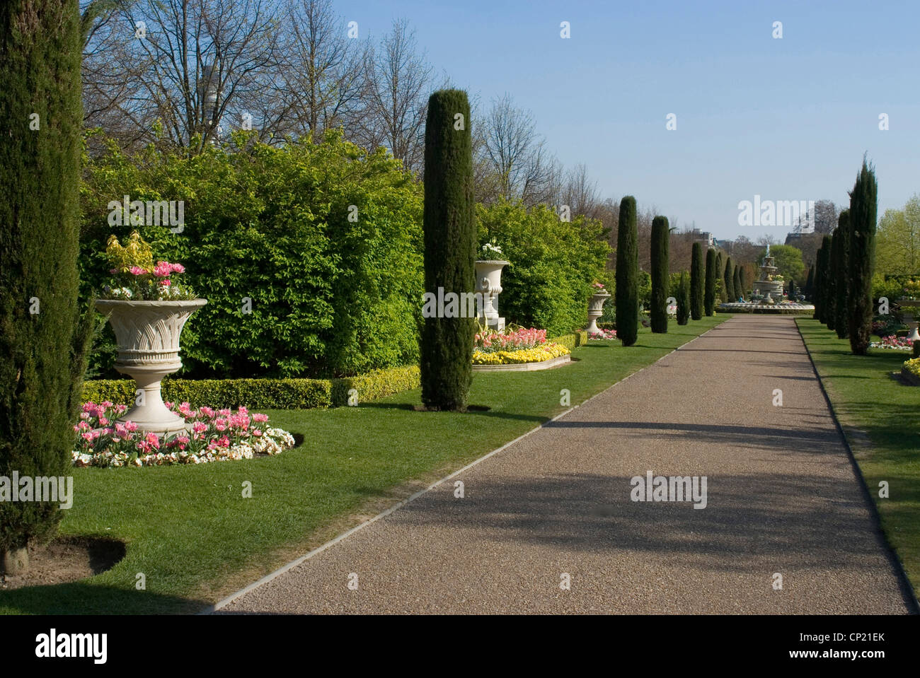 Spektakuläre Frühling Blütenpracht von Tulpen, Avenue Gärten, Regents Park, London NW1, England Stockfoto