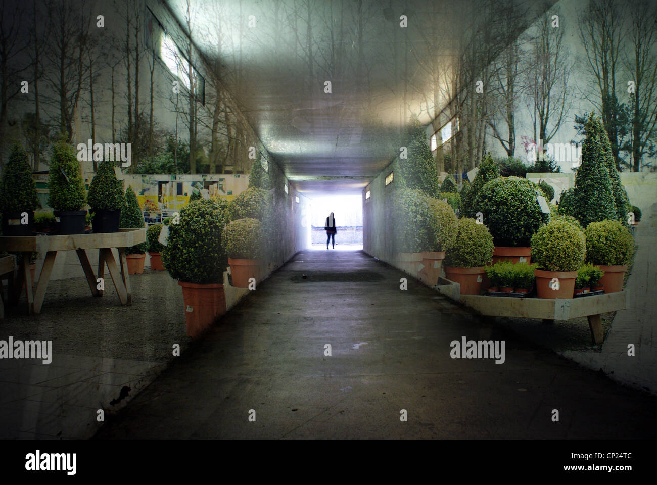 Abstrakte Bilder mit einer Doppelbelichtung-Effekt. Stockfoto