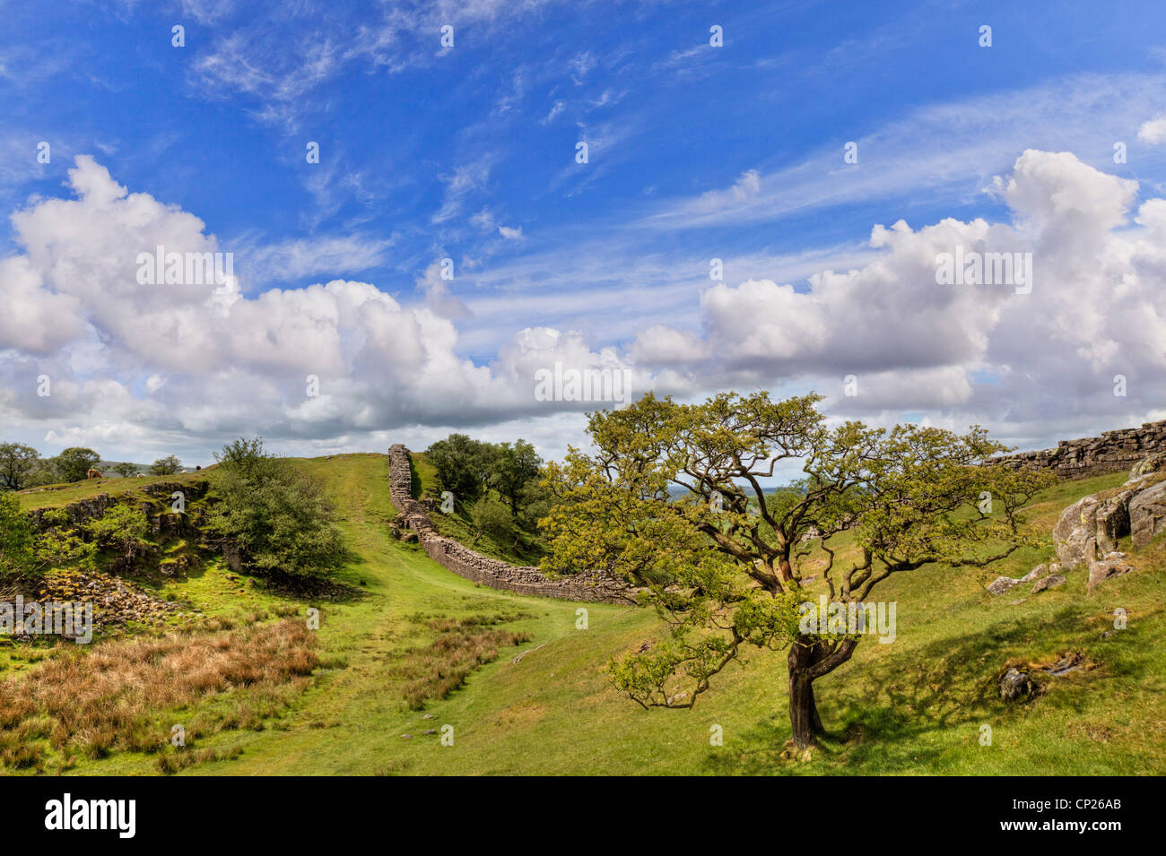 Hadrian Wand Northumberland, England Stockfoto