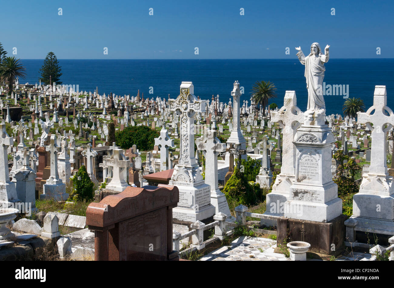 Get Waverley Cemetery Sydney PNG