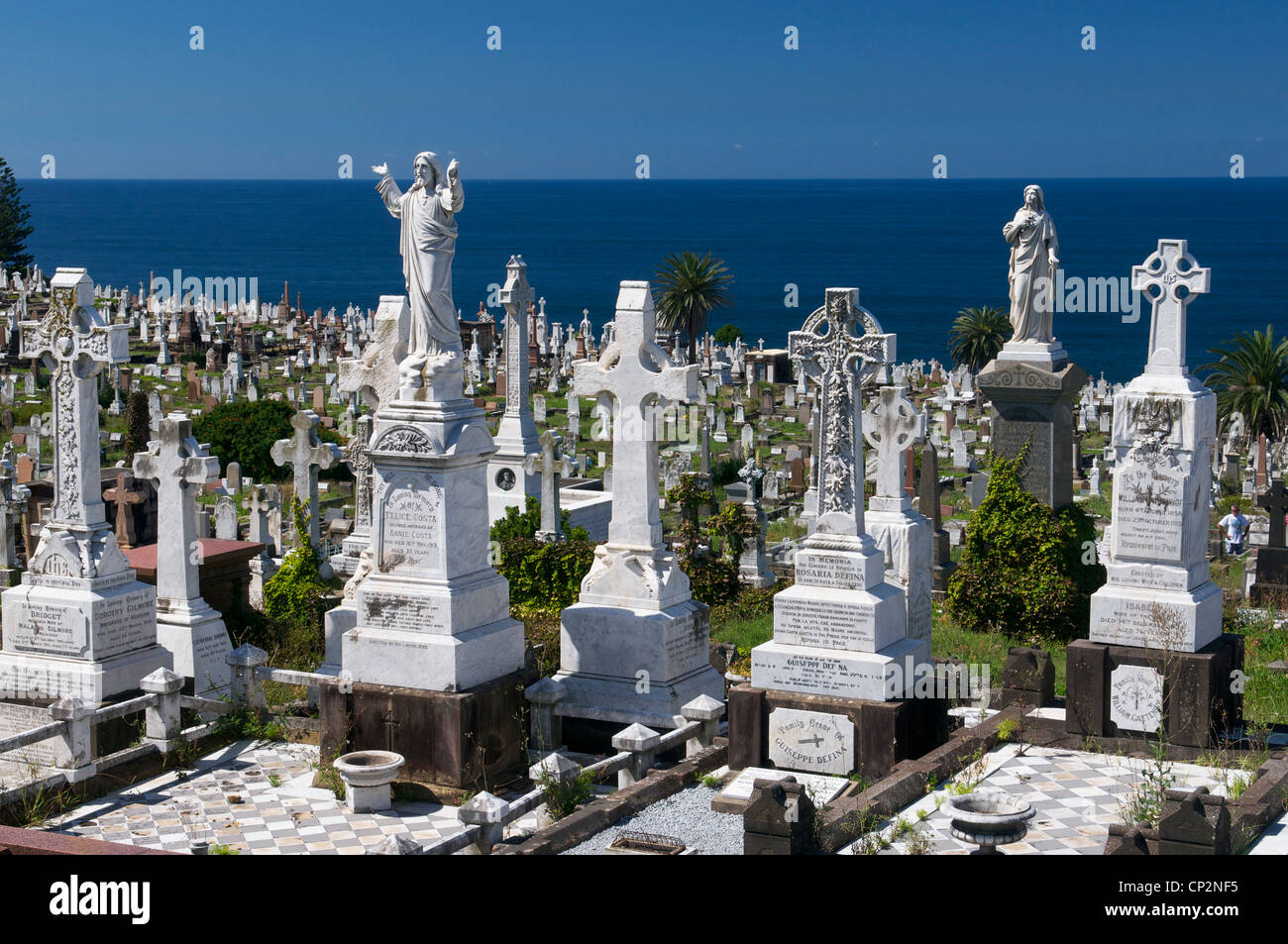 45+ Waverley Cemetery PNG