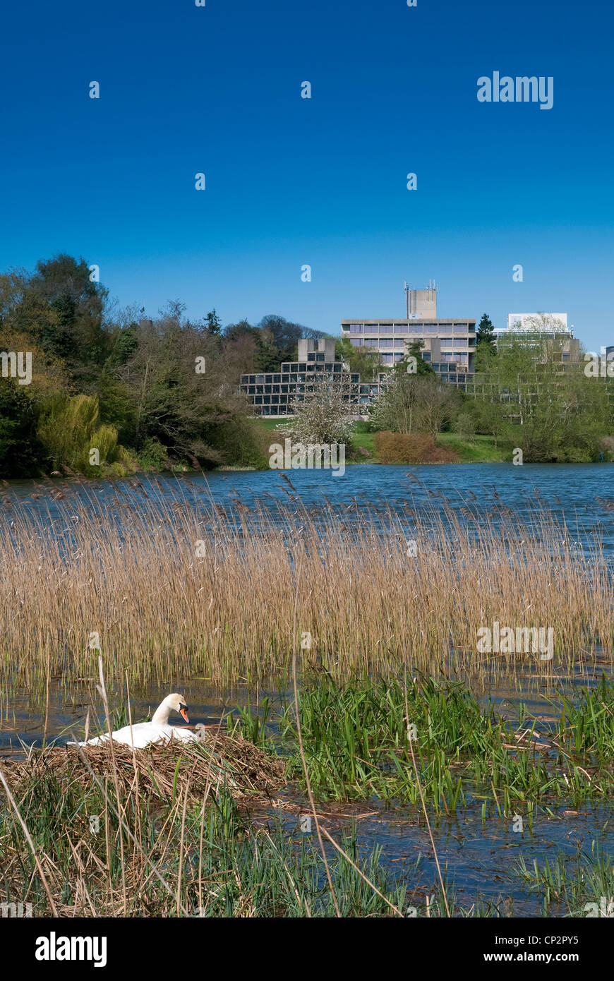 Universität von East Anglia, Uea, Norwich, Norfolk, england Stockfoto