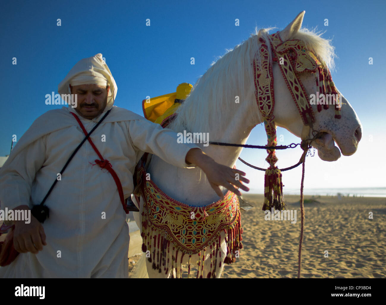 Agadir, Mann und das weiße Pferd vor der Fantasia. Stockfoto