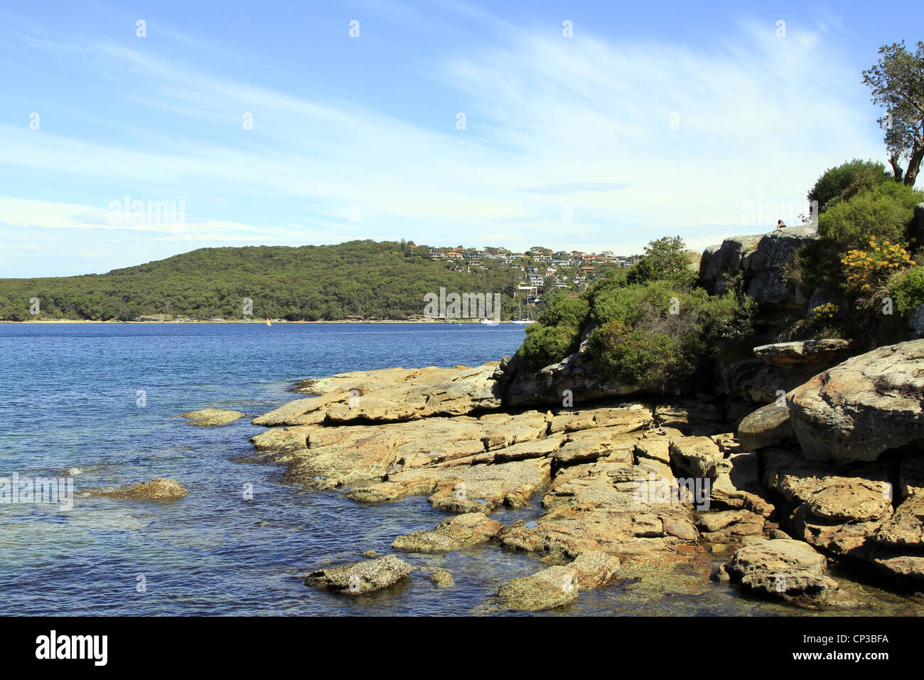 Eine felsige Felsspitze Manly Manly Cove, betreten. Sydney. New South Wales Australien Stockfoto