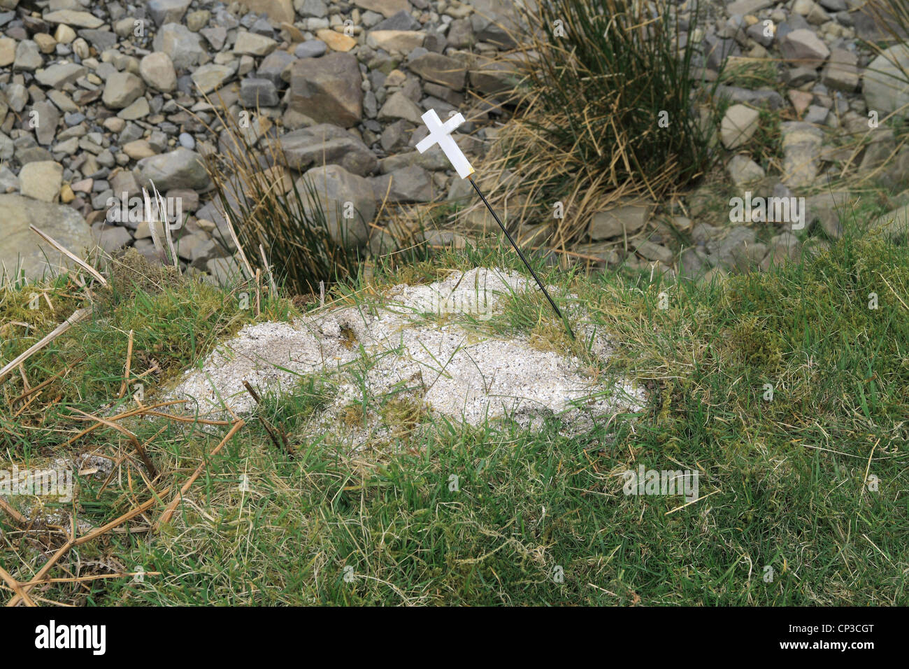 Eingeäscherten Christian Human Asche verstreut an einem Ort Stockfoto