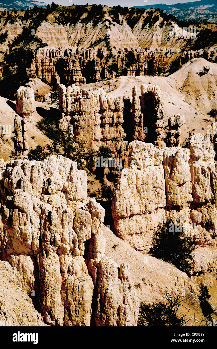 Wüste-Berge Stockfoto