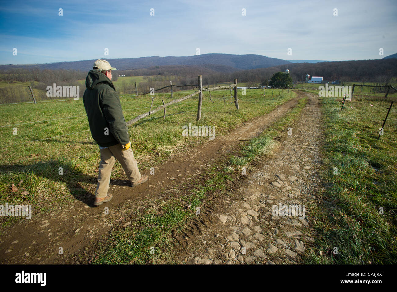 Landwirt geht Feldweg Zaun entlang. Stockfoto