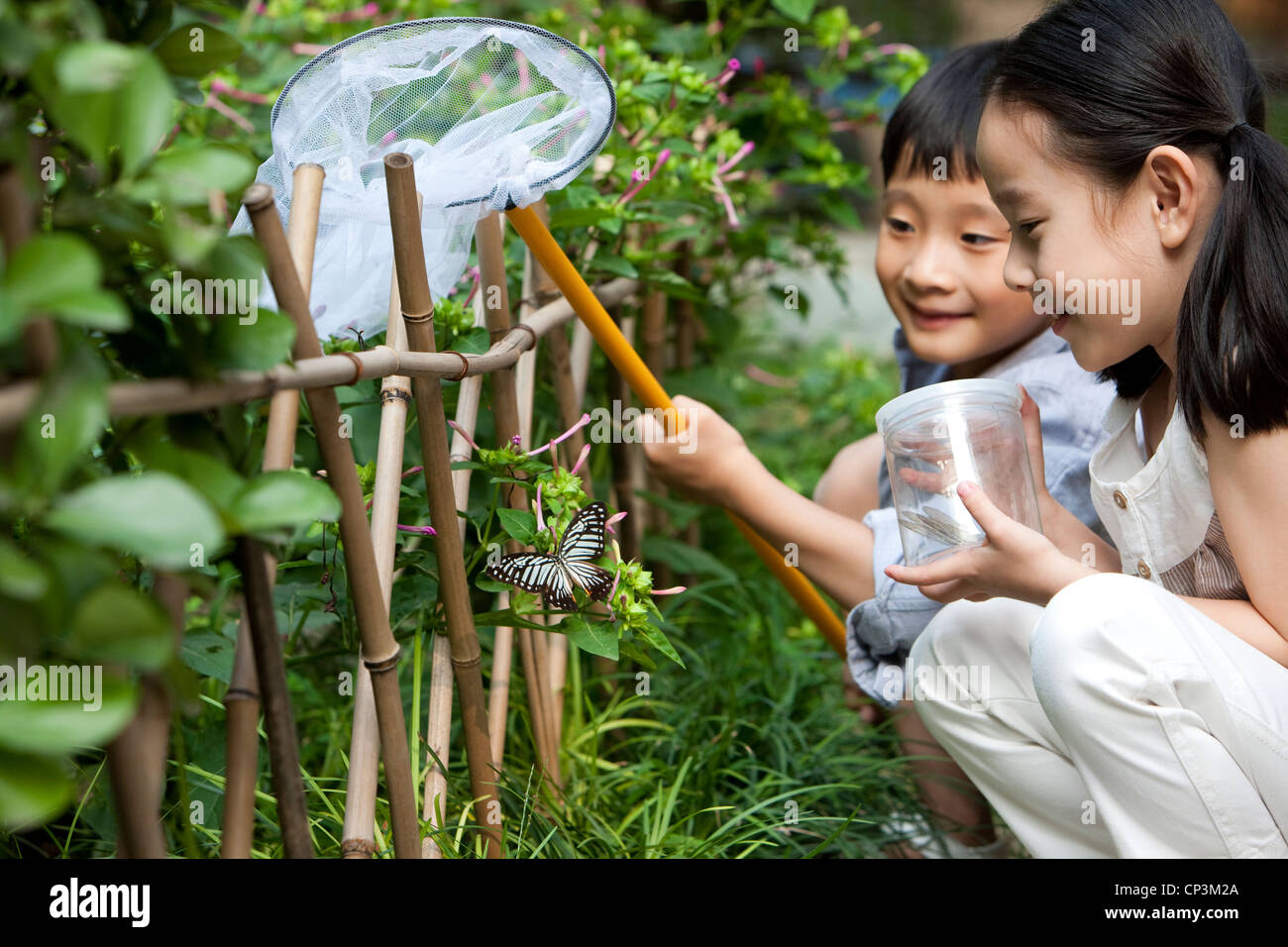 Chinesische Kinder in einem Garten mit Blick auf einen Schmetterling Stockfoto