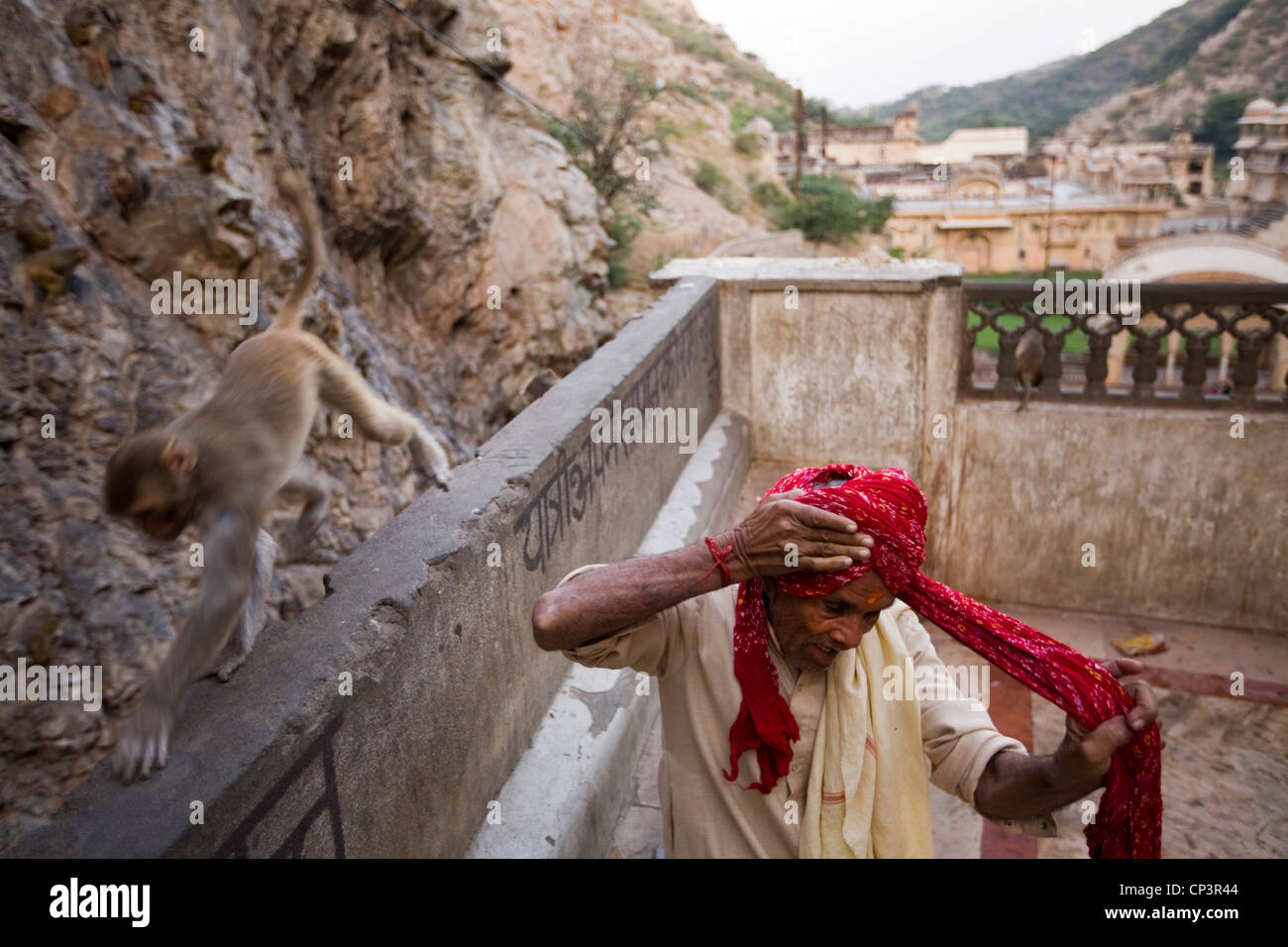 Eine Affe geht vorbei an einen Mann, wie er seinen Turban nach dem Baden im Pool auf der Surya Mandir, Jaipur, Indien bindet Stockfoto