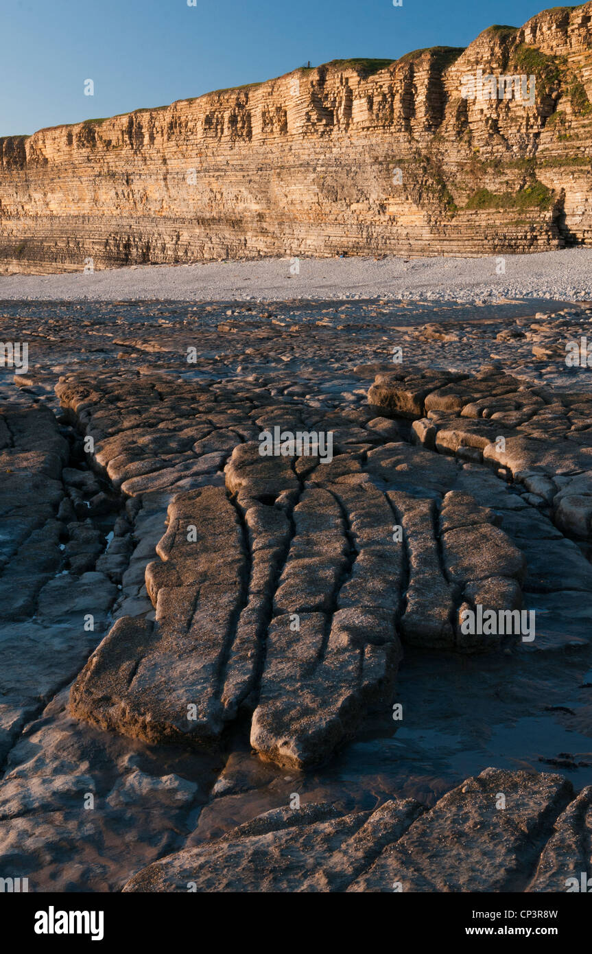 Die Kalksteine Klippen von Glamorgan Heritage Coast in Südwales Nash Zeitpunkt, Stockfoto