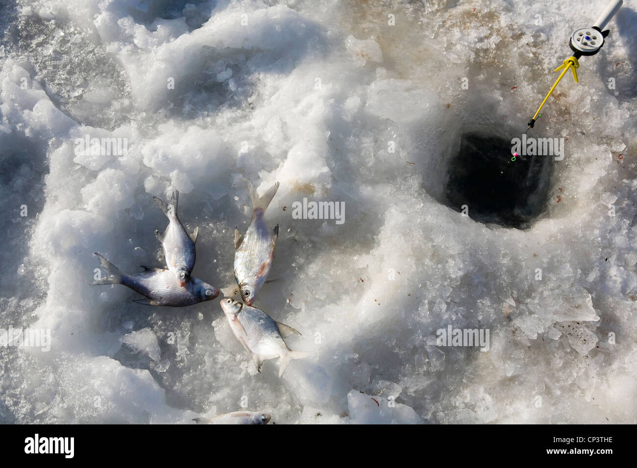 Eisfischen. Südlich von Russland Stockfoto