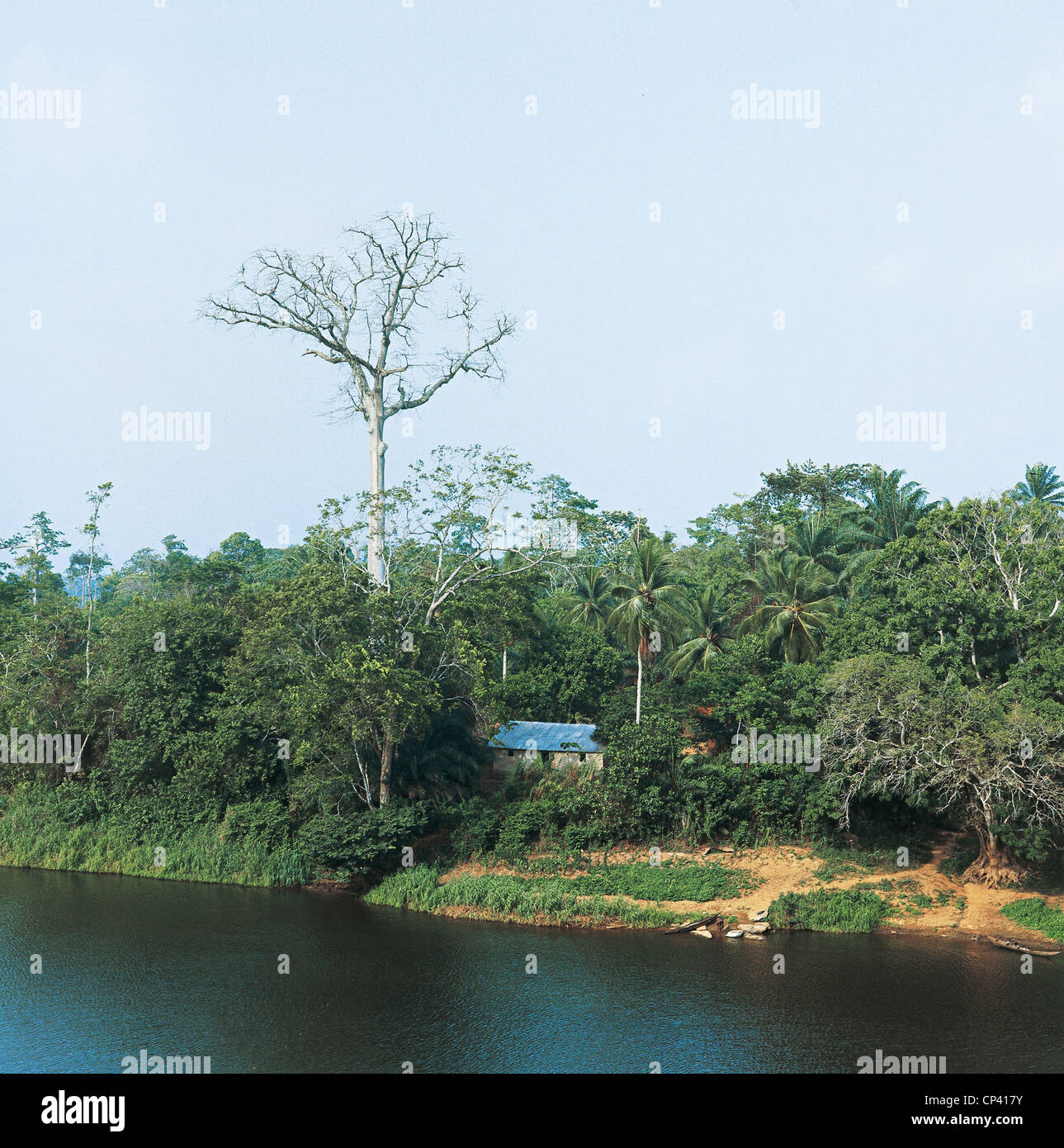 Kamerun - Edea. Der Sanaga Fluß. Stockfoto