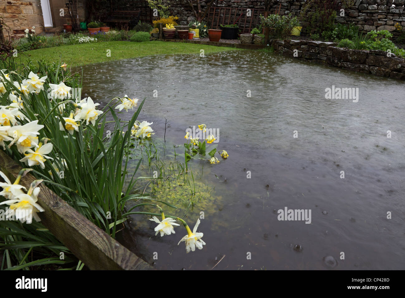 Überfluteten Garten während der feuchteste April auf Rekord Teesdale County Durham UK Stockfoto