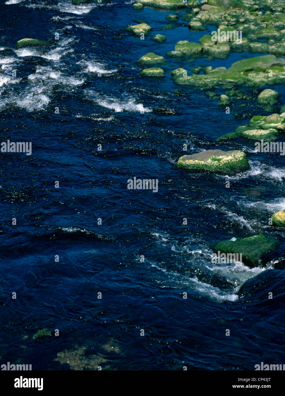 Fluss Lyn Lynmouth Devon kleine Stromschnellen Algen bedeckt Felsen Stockfoto