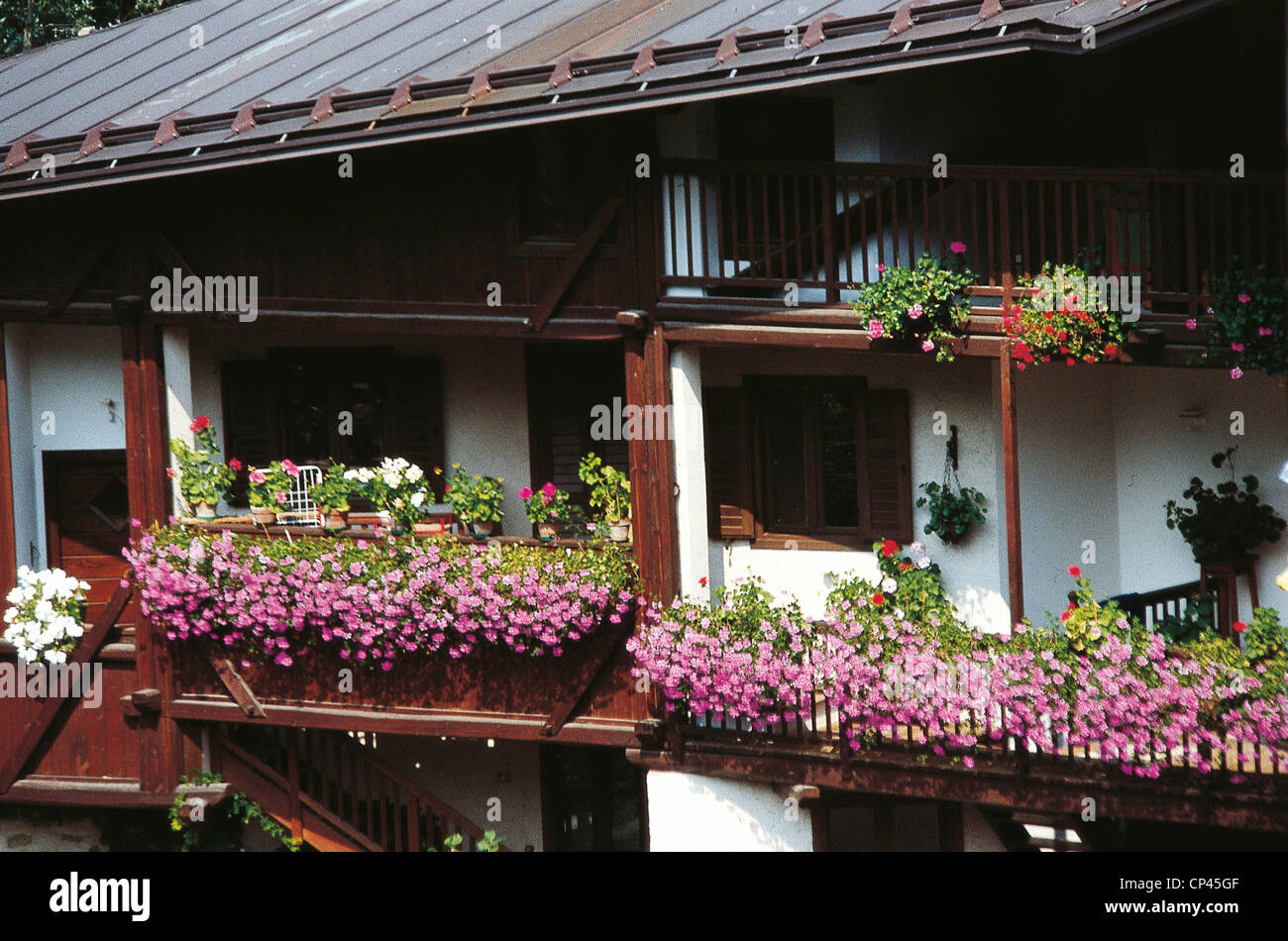 Trentino-Südtirol - Val di Rabbi (TN). Blumengeschmückten Balkonen. Stockfoto