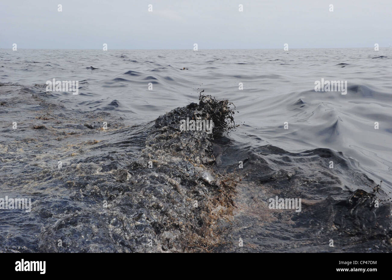 Ölpest in den Wellen des Golf von Mexiko verursacht durch den laufenden Dammbruch von British Petroleum Deepwater Horizon vor der Küste Stockfoto