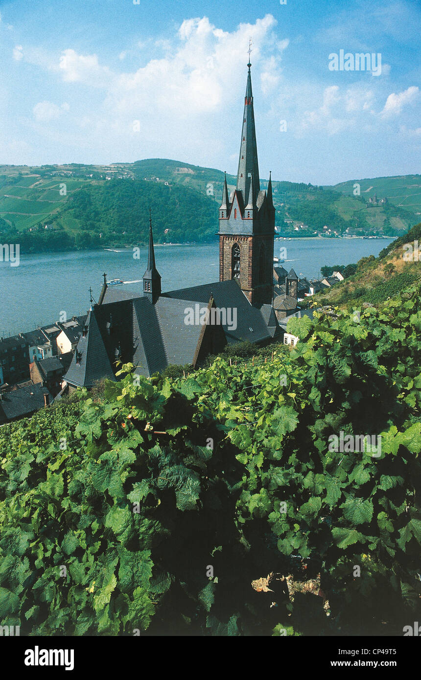 Deutschland - Hessen, Weinberge entlang des Rheins in der Nähe von Lorsch. Stockfoto