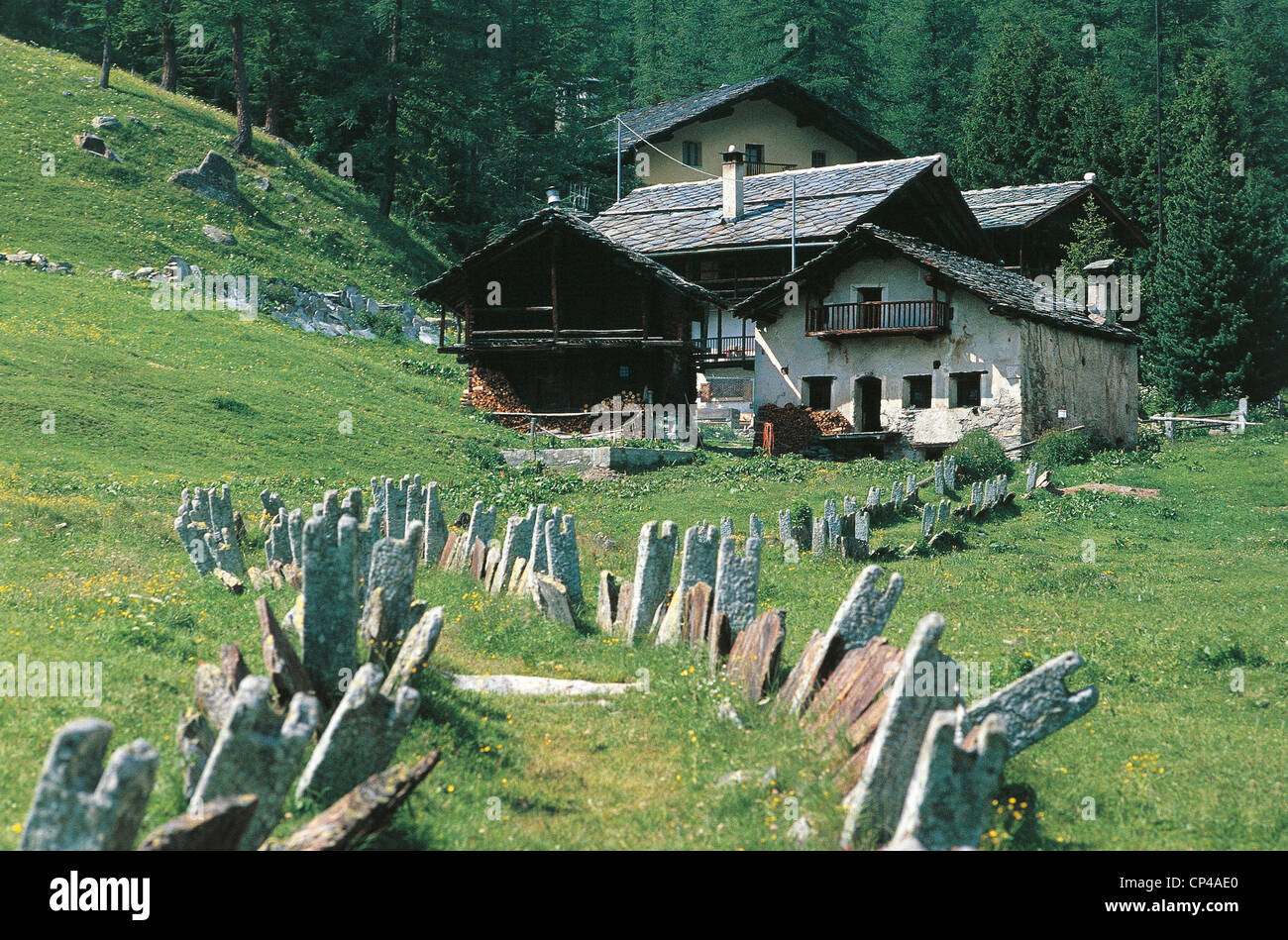 Valle d ' Aosta Gressoney Saint Jean Dejolo Bruchteil der Stein Wege säumen Stockfoto