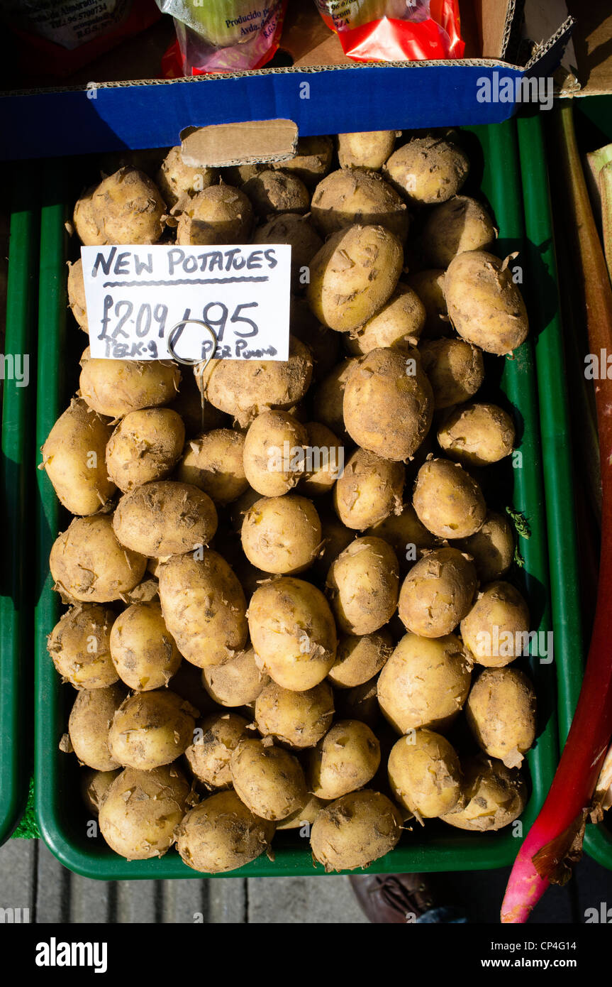 Ein Korb mit neuen Kartoffeln auf Verkauf außerhalb ein Obst-und Gemüsehändler Shop, UK Stockfoto