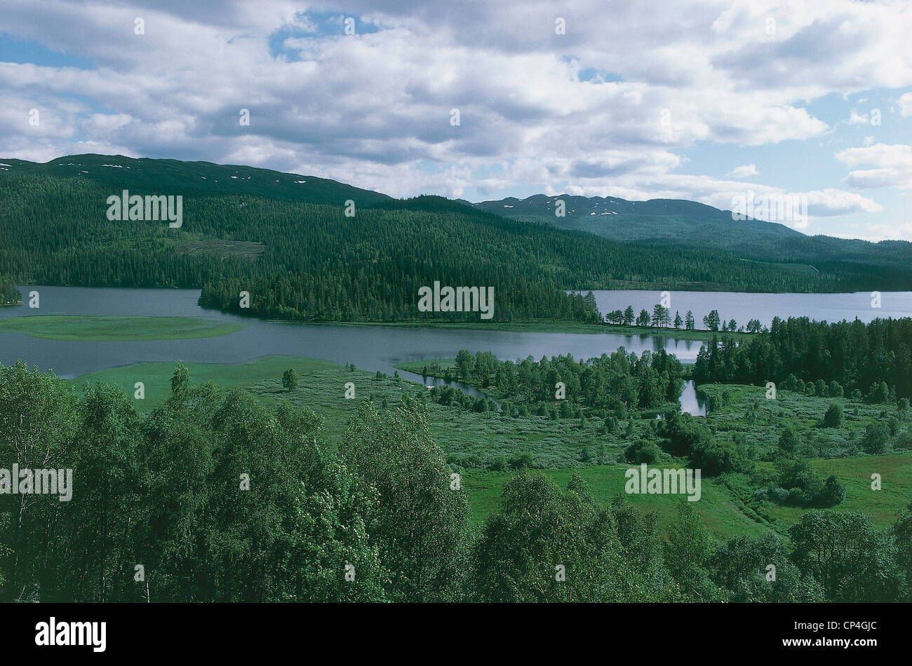 Norwegen - Telemark County. Stockfoto