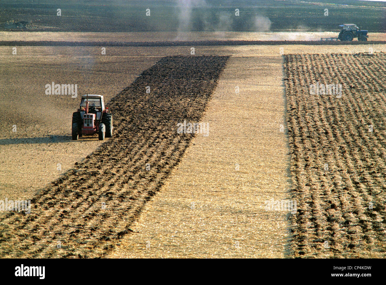 Spanien - Kastilien-La Mancha. Landwirtschaftliche Arbeiten im Bereich von Ciudad Real Stockfoto