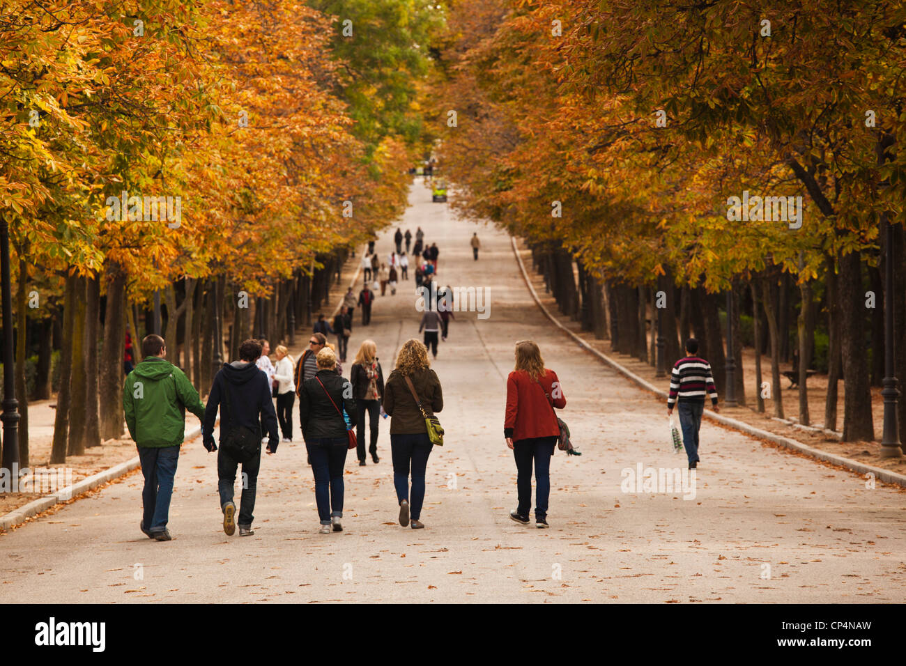 Spanien, Madrid, Parque del Buen Retiro Park, Herbstlaub. Stockfoto