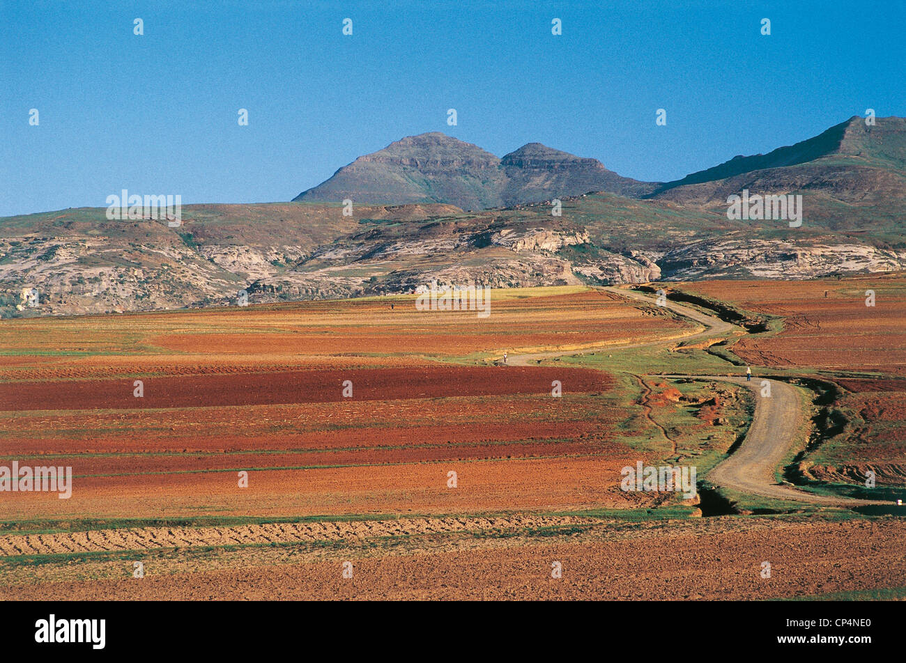 Lesotho - Leribe Bezirk - Landschaft des Tieflandes. Stockfoto