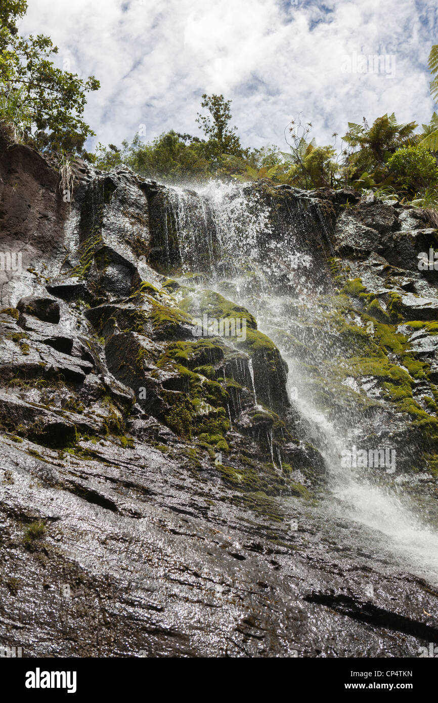 Fairy Falls Wasserfall inmitten von Bäumen und bewölktem Himmel in Henderson Valley, Auckland, Neuseeland Stockfoto